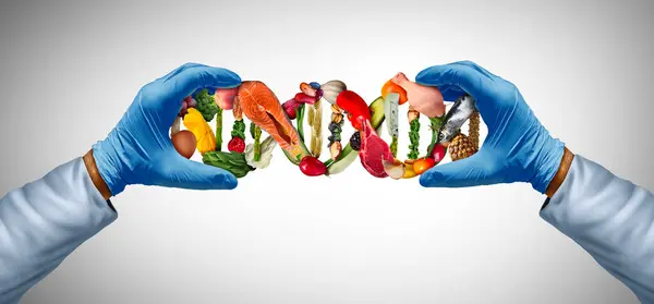 Voedingswetenschap Evenwichtige Dieetgenetische Biologie Als Voedingswetenschappen Als Voedingsdeskundige Wetenschapper Met Rechtenvrije Stockafbeeldingen