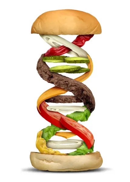 stock image Food science and Balanced Diet genetic biology as Nutrition sciences with a DNA strand as a dietary health concept as an assembled cheese Burger with individual toppings representing nutrition and GMO.