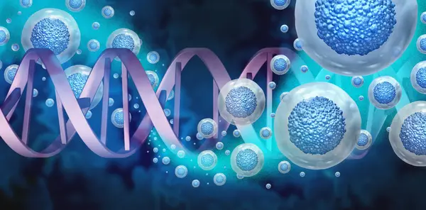 stock image Stem Cell Genetics and Regenerative Medicine and Mesenchymal Stem Cells to regenerate tissue repair as a cell therapy medical close up macro view showing a DNA strand as gene edited medication.