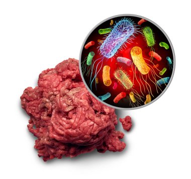 E Coli Salmonella Contamination as a Foodborne pathogen and bacteria germs on raw minced meat and the health risk of ingesting contaminated food as a public safety concept. clipart