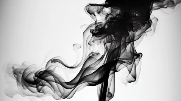 Černý Kouř Izolovaný Bílém Pozadí Pohyb — Stock video