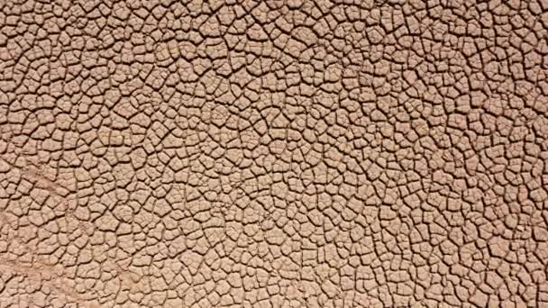 Aerial View Lowering Large Area Cracked Soil Due Long Drought — Stock Video