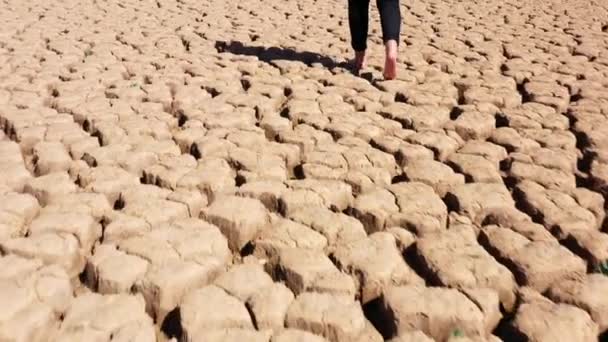 Jambes Femmes Marchant Dans Des Zones Sèches Avec Texture Terre — Video