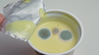 Süt proteini yoğurdu küflü mantarlarla kaplıdır. Sağlıksız depolama koşulları ve son kullanma tarihi. Yüksek kalite 4k görüntü