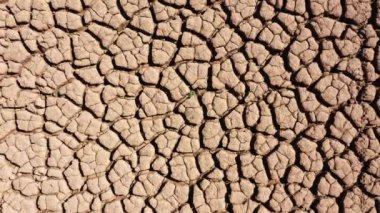Uzun süren kuraklıktan dolayı geniş bir toprak parçası. Çatlakları ve bitkileri olmayan kuru topraklar. Kuru arazi, su eksikliğinden kaynaklanan çatlaklarla dolu. Küresel ısınma kavramı