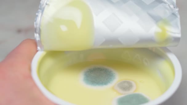 Melkeproteinyoghurt Dekket Muggsopp Begrepet Uhygieniske Lagringsvilkår Utgått Bruksperiode Opptak Høy – stockvideo