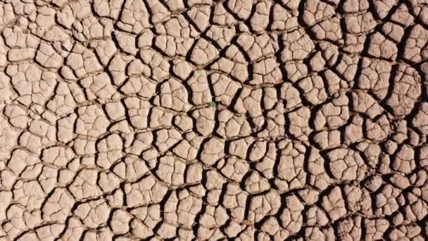 Вид Воздуха Большая Площадь Трещины Почвы Длительной Засухи Сухая Земля — стоковое видео
