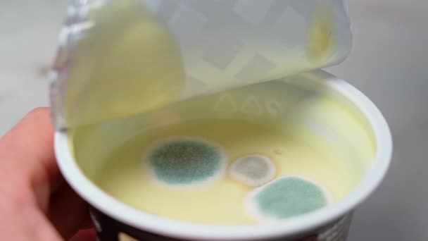 Йогурт Молочного Белка Покрыт Плесенью Понятие Антисанитарных Условий Хранения Истечения — стоковое видео