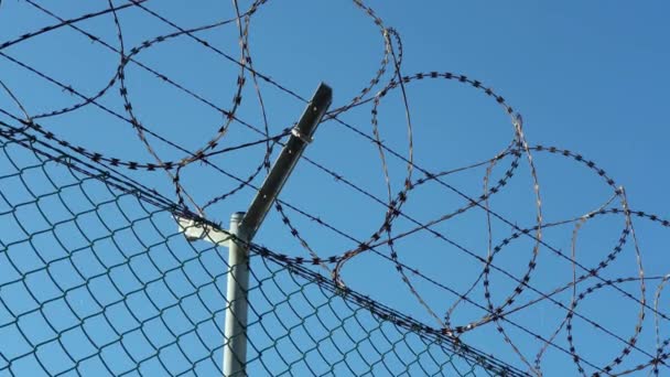 Prison Barbed Wire Fence Blue Sky Concept Prohibition Entry Protection — Video Stock