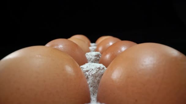 Raw Chicken Eggs Shells Black Background High Quality Footage — Stockvideo