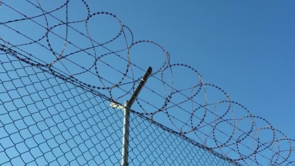 Prison Barbed Wire Fence Blue Sky Concept Prohibition Entry Protection — Video Stock