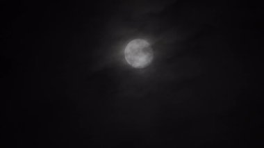 Black clouds float smoothly across the full moon at night. Dramatic Halloween concept in nature. High quality 4k footage