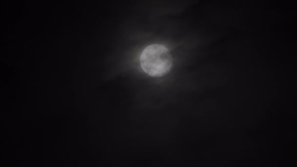 Nuvens Negras Flutuam Suavemente Através Lua Cheia Noite Conceito Dramático — Vídeo de Stock
