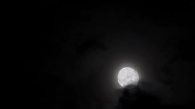 Black clouds float smoothly across the full moon at night. Dramatic Halloween concept in nature. High quality 4k footage