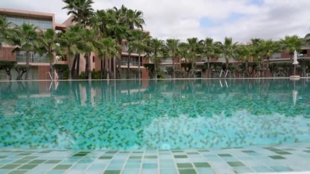 Hotel Swimming Pool Blue Clear Water Nature Palms High Quality — Stock Video