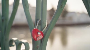 Kalp şeklinde asma kilitler, Tavira köyündeki Gilao Nehri 'nin Roma Köprüsü' nün çitlerine sonsuz aşkın sembolü olarak sabitlenmiştir. Yüksek kaliteli FullHD görüntüler