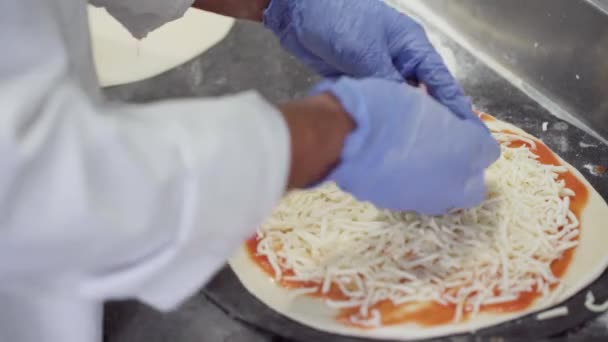 Profesyonel Aşçı Pizzaya Malzeme Hazırlar Koyar Hijyenik Eldivenlerle Yüksek Kaliteli — Stok video