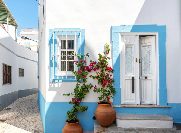 Типичная Португальская Архитектурная Дверь Цветочными Горшками Перед Дверьми Высокое Качество — стоковое фото