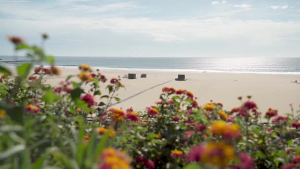 Blick Durch Die Bunten Blumenbeete Der Großen Sauberen Strände Portugals — Stockvideo