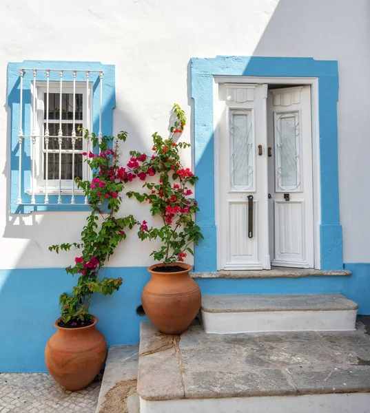 Een Typisch Portugees Gebouw Architectuurdeur Met Bloempotten Voor Deur Hoge — Stockfoto
