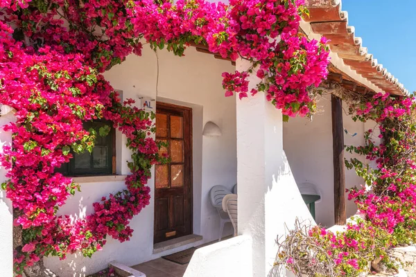 Typické Portugalské Stavební Dveře Květináči Před Dveřmi Kvalitní Fotografie — Stock fotografie
