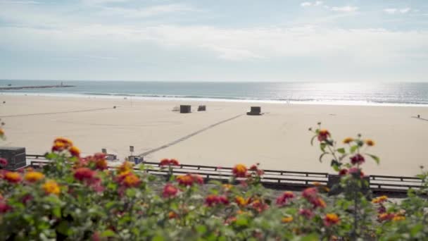 透过葡萄牙洁白的海滩上五彩斑斓的花坛 尽收眼底 优质Fullhd影片 — 图库视频影像