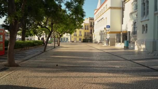 ファロ市内中心部ドム フランシスコ ゴメス広場は ポルトガルの歴史的な建物を見下ろしています 2022年3月27日 ポルトガル ファロ 高品質の4K映像 — ストック動画