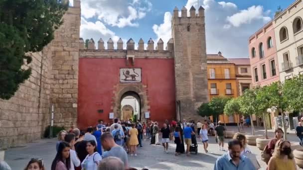 Turyści Ustawiają Się Kolejce Przed Sevilles Alcazar Wycieczkę Sewilla Hiszpania — Wideo stockowe