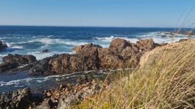 Dalgalar ve çimenler yavaş çekimde huzurlu deniz manzarası. Yüksek kaliteli FullHD görüntüler