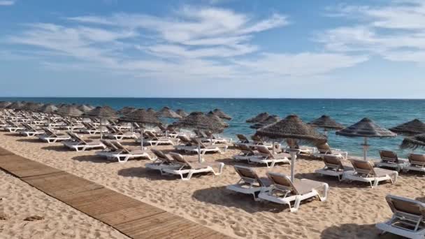 Gran Vista Panorámica Playa Con Sombrillas Tumbonas Para Los Turistas — Vídeo de stock