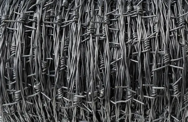 Barbed Wire Close Witte Geïsoleerde Achtergrond Voor Het Creëren Van Stockfoto