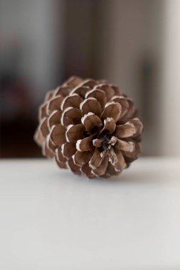 A pine cone on a table
