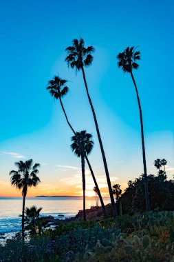 A view of Laguna Beach sunset at the beach. Laguna Beach is located in southern California.