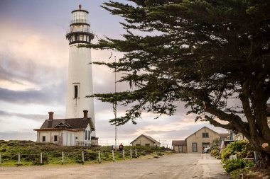 Pigeon Point Lighthouse, Kaliforniya 'nın Pasifik sahilinde gemi rehberlik etmek için 1871 yılında inşa edilmiş bir deniz feneri. Santa Cruz ve San Francisco arasında, Pescadero yakınındaki sahil otoyolu 1 ' de yer almaktadır..