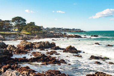 Pacific Grove, California kayalık kıyı şeridi.