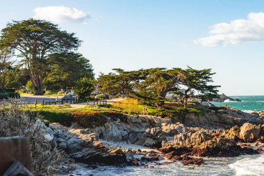 Pacific Grove, California kayalık kıyı şeridi.