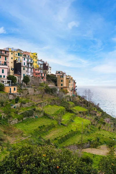 Γραφική Θέα Του Χωριού Coniglia Που Βρίσκεται Στο Cinque Terre — Φωτογραφία Αρχείου