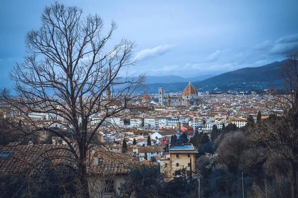 Floransa Firenze Talya Alacakaranlıkta Şehir Manzarası — Stok fotoğraf