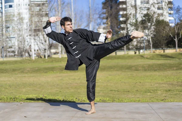 stock image Young athletic martial arts fighter practicing kicks in a public park wearing kung fu uniform.