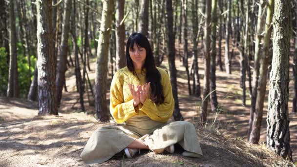 Egy Összekulcsolt Kézzel Meditál Erdőben — Stock videók