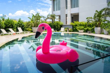 Pembe bir flamingo havuzda yüzüyor.