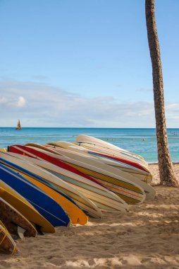 Hawaii 'de bir plajda birkaç sörf tahtasının dikey görüntüsü.