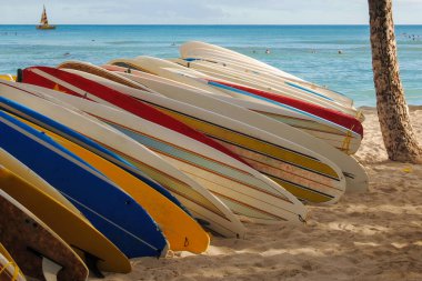 Hawaii 'de bir plajda birkaç sörf tahtası sergilenmiş.