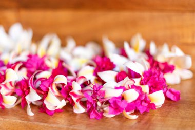 Hawaii 'de tropikal çiçek kolyesi aranjmanı