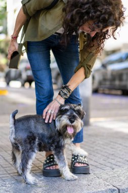 Caddede neşeli Schnauzer köpeğini okşayan bir kadın. Dikey çekim