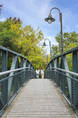 Park köprüsünde huzurlu bir anın tadını çıkaran iki kadının arka görüntüsü.
