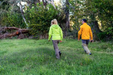 Arkadaki manzara, ormanın içinde açık hava manzaralı bir yürüyüş.
