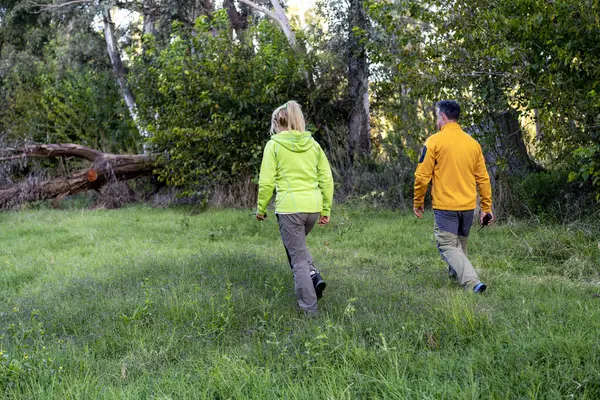 Arkadaki manzara, ormanın içinde açık hava manzaralı bir yürüyüş.