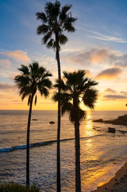 Canlı bir Laguna Sahili günbatımına karşı üç palmiye ağacı silueti