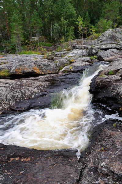 Küçük şelale kayanın üzerinde, ormanda, hylstroemmen, sweden